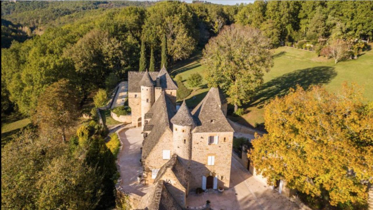 Chateau La Carriere Saint-Cyprien  Exterior photo